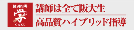 高品質ハイブリッド指導 学